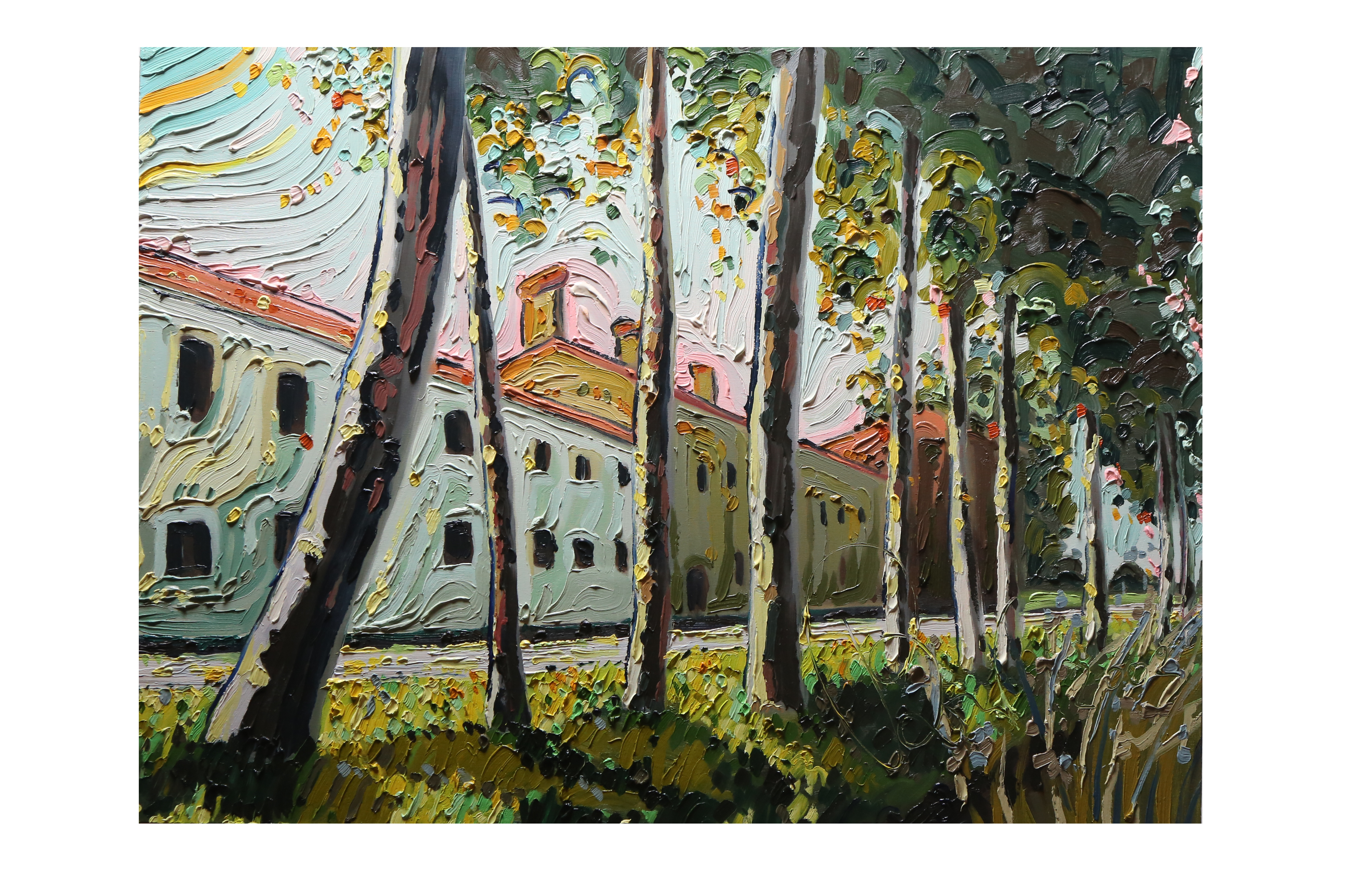 pioppi alla cascina Castellana