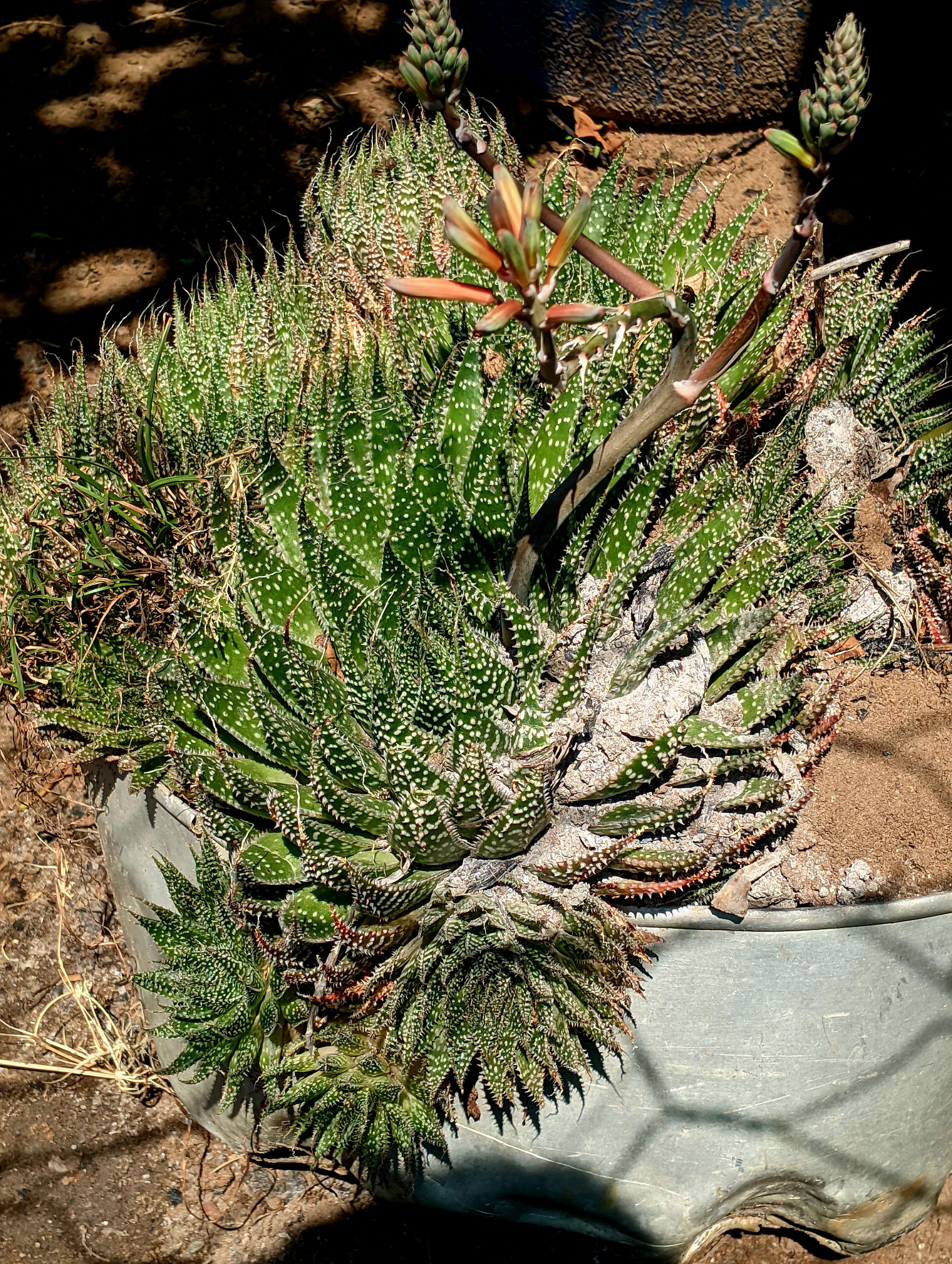 item 1