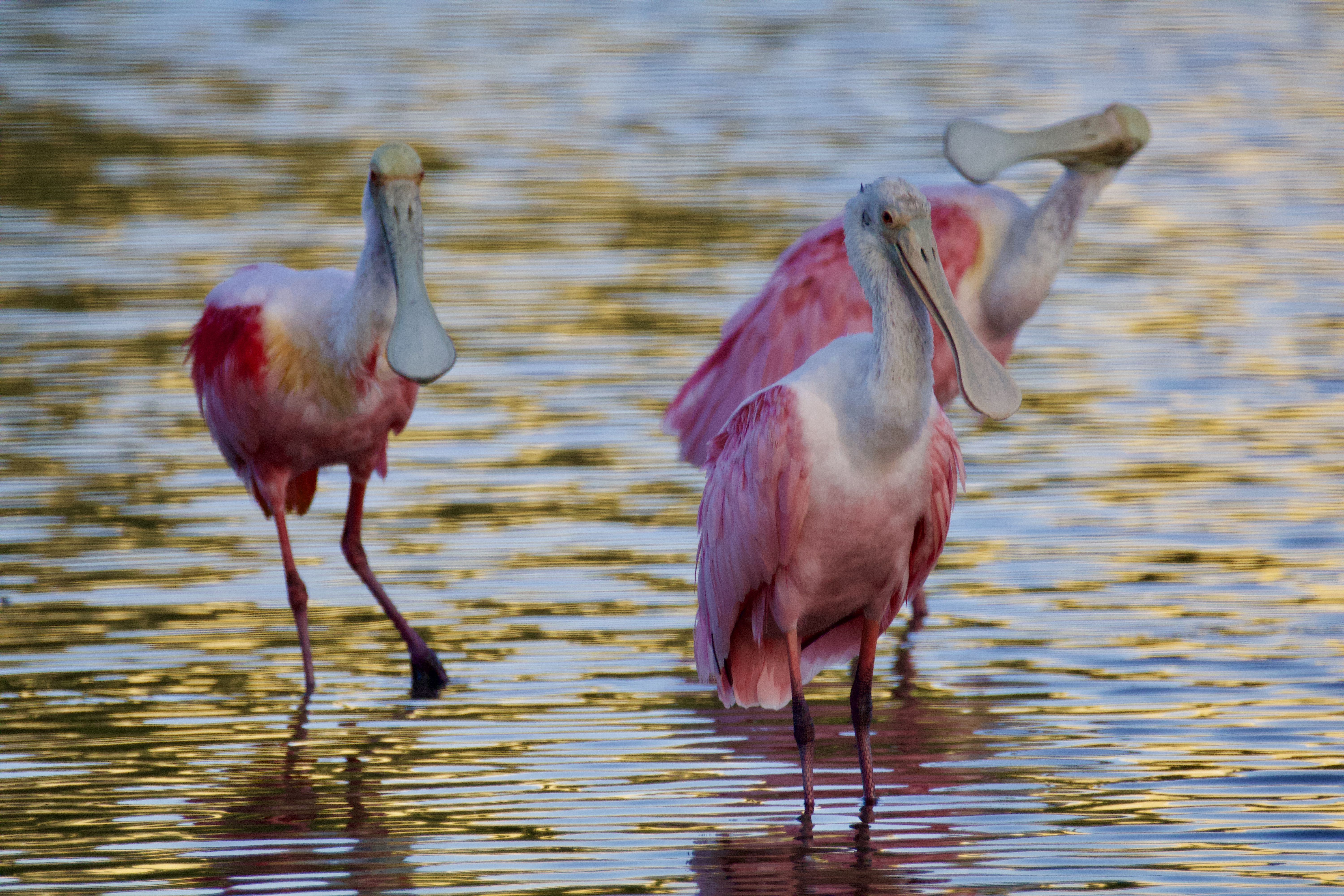 item 1