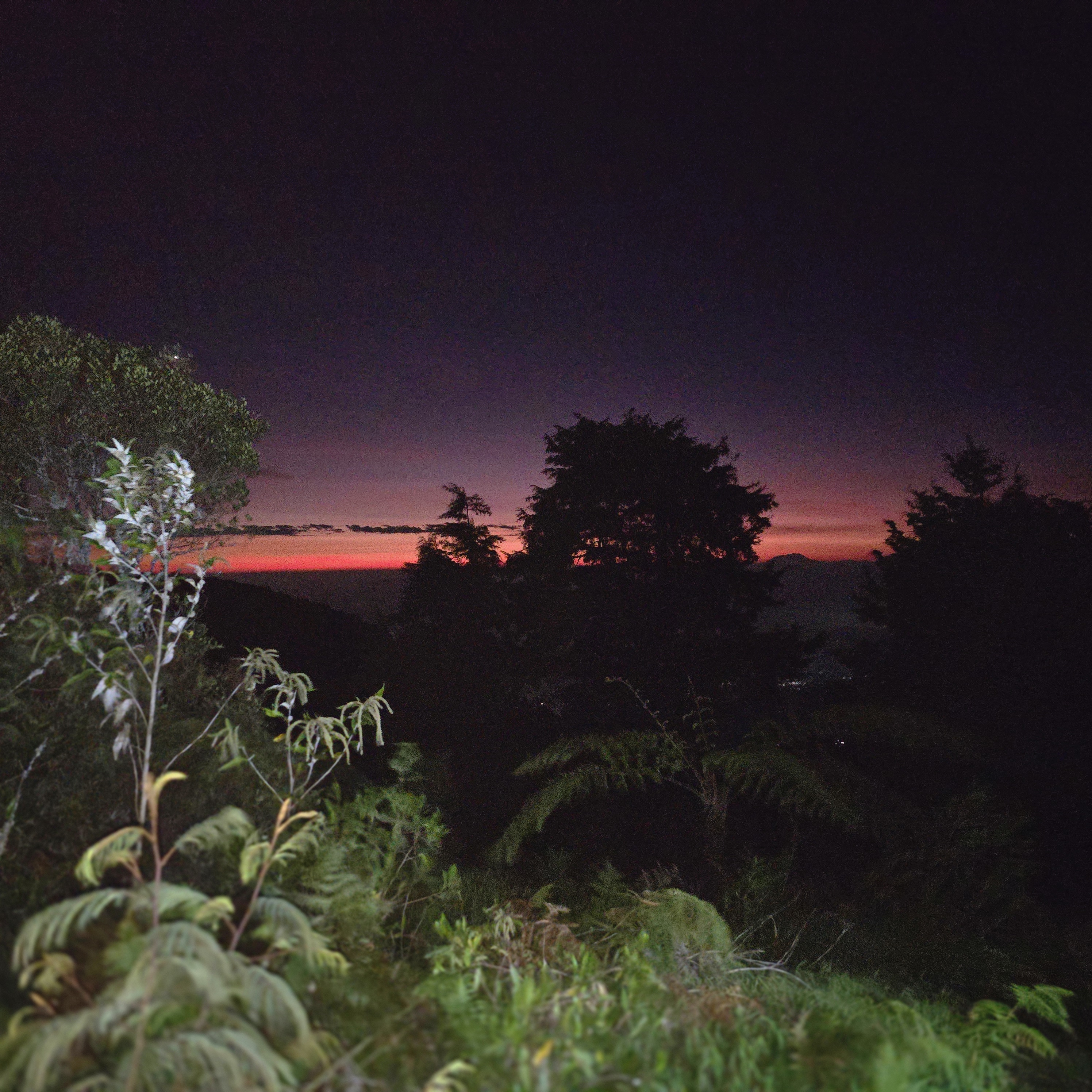 Crimson Dusk